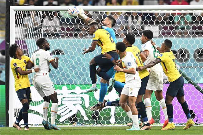 Senegal liên tục tạo sóng gió trước khung thành Ecuador. Ảnh: AFP/TTXVN