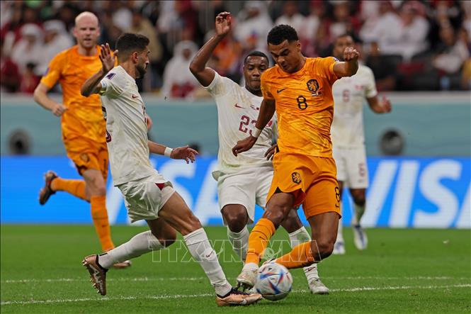 Tiền đạo Hà Lan Cody Gakpo (phải) đi bóng trước các cầu thủ Qatar. Ảnh: AFP/TTXVN