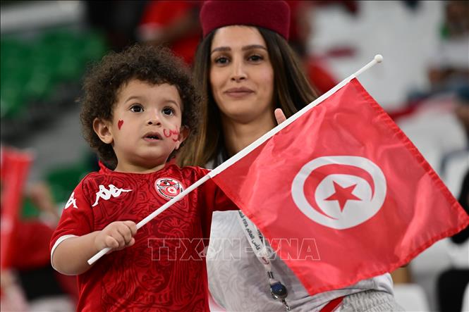 Cổ động viên Tunisia trên khán đài sân vận động Education City. Ảnh: AFP/TTXVN