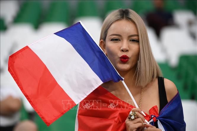 Cổ động viên Pháp trên khán đài sân vận động Education City. Ảnh: AFP/TTXVN
