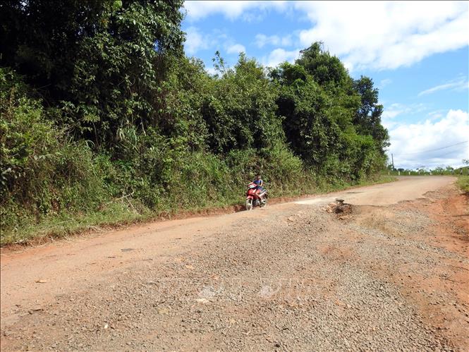 Tuyến đường ĐH 85 (xã Đăk Long, huyện Đăk Glei, tỉnh Kon Tum) bị bong tróc phần lớn lớp nhựa đường và xuất hiện nhiều “ổ voi” gây nguy hiểm cho người và phương tiện khi di chuyển. Ảnh: Khoa Chương - TTXVN