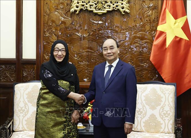 Chủ tịch nước Nguyễn Xuân Phúc tiếp Đại sứ Brunei Malai Halimah Malai Yussof. Ảnh: Thống Nhất – TTXVN
