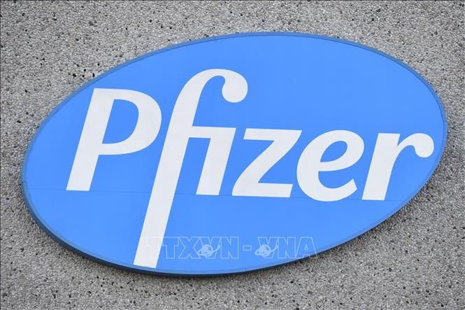 Trong ảnh: Công ty của Hãng dược phẩm Pfizer  ở Puurs, Bỉ. Ảnh: AFP/TTXVN