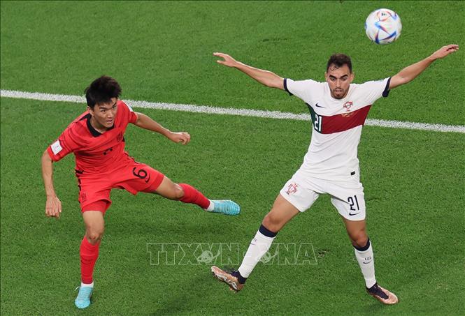Ricardo Horta khống chế bóng tốt trong vòng cấm của Hàn Quốc sau đó xoay người dứt điểm, nhưng bóng đi trúng vào vị trí của thủ môn Kim Seung-Gyu. Trong ảnh: Pha tranh bóng giữa tiền đạo Bồ Đào Nha Ricardo Horta (phải) và tiền vệ Hàn Quốc Hwang In-beom. Ảnh: AFP/ TTXVN
