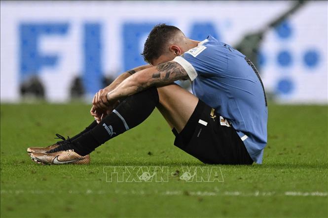 Nỗi buồn của cầu thủ Uruguay sau khi đội nhà phải dừng bước ở vòng bảng World Cup 2022. Ảnh: AFP/TTXVN