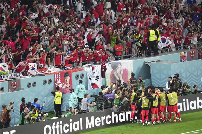 Các cầu thủ và cổ động viên Hàn Quốc ăn mừng bàn thắng ấn định tỉ số 2-1 của Hwang Hee-chan. Ảnh: THX/ TTXVN
