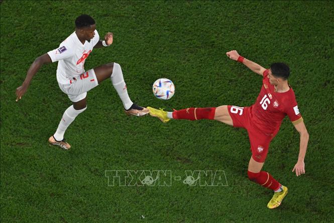 Trong ảnh: Pha tranh bóng quyết liệt giữa tiền vệ Edmilson Fernandes (trái) của Thuỵ Sĩ với Sasa Lukic của Serbia. Ảnh: AFP/TTXVN