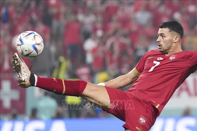 Trong ảnh: Nỗ lực kiểm soát bóng của tuyển thủ Serbia Nemanja Radonjic. Ảnh: THX/TTXVN