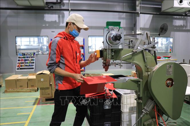 Production at the Deli Vietnam Co. Ltd in the Yen Phong Industrial Park, the northern province of Bac Ninh. VNA Photo: Thanh Thương