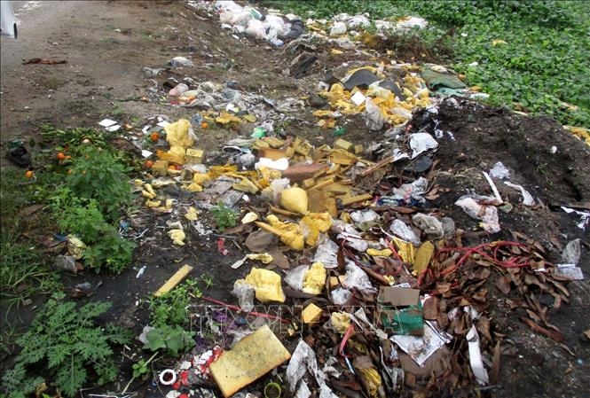 Rác thải vứt bữa bãi gây ô nhiễm tại phường Hải Bình, thị xã Nghi Sơn, Thanh Hóa.
Ảnh: Nguyễn Nam-TTXVN