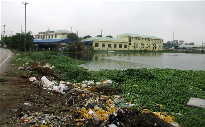 Quanh khu vực rác thải vứt bữa bãi là các nhà máy chế biến hải sản thuộc phường Hải Bình, thị xã Nghi Sơn, Thanh Hóa. Ảnh: Nguyễn Nam-TTXVN
