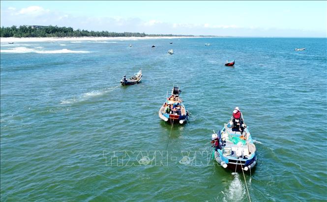Fishermen use small boats to harvest ruoc in Gio Linh district’s sea, Quang Tri province. VNA Photo: Nguyên Lý 
