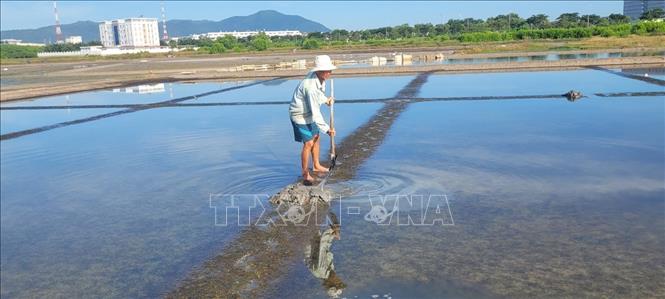 Trong ảnh: Ruộng muối của gia đình ông Nguyễn Minh Chánh, diêm dân phường Long Toàn, thành phố Bà Rịa vẫn còn ăm ắp nước chưa thể lu nền để sản xuất muối. Ảnh: Hoàng Nhị -TTXVN
