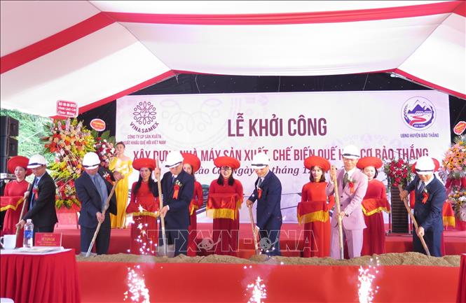 Các đại biểu thực hiện nghi lễ khởi công Nhà máy sản xuất và chế biến quế hữu cơ Bảo Thắng. Ảnh: Hương Thu - TTXVN
