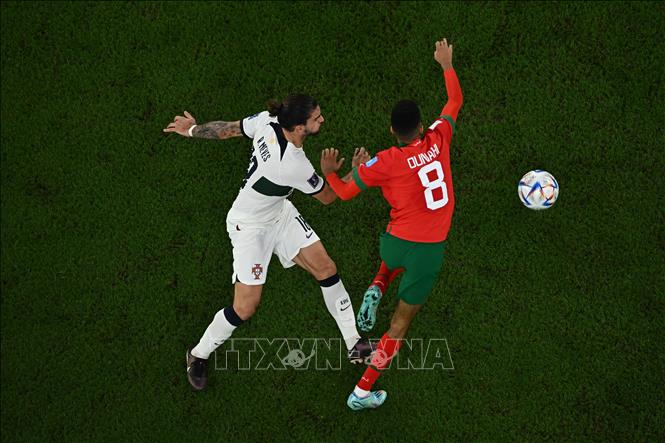 Pepe mất bóng nguy hiểm, Maroc phản công nhanh, cơ hội đến với Azzedine Ounahi, may mắn cho Bồ Đào Nha là cú sút của cầu thủ này đi vọt xà. Trong ảnh: Pha tranh bóng giữa tiền vệ Maroc Azzedine Ounahi (phải) và tiền vệ Bồ Đào Nha Ruben Neves. Ảnh: AFP/ TTXVN