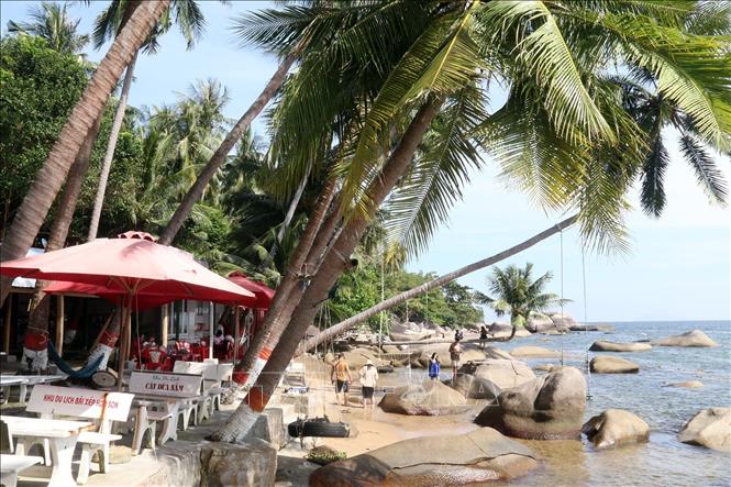 Cây dừa nằm nổi tiếng tại Bãi Xếp là điểm thu hút du khách tới đây. Ảnh: Lê Sen – TTXVN
