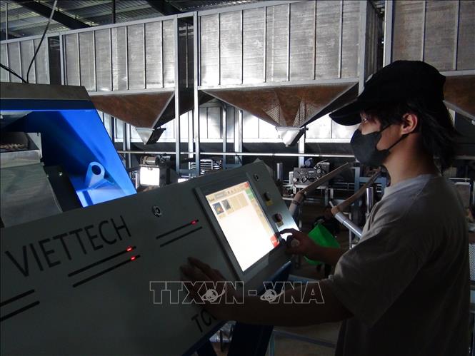 Trong ảnh: Công nhân vận hành dây truyền sản xuất hạt điều theo công nghệ mới. Ảnh:  K GỬIH-TTXVN