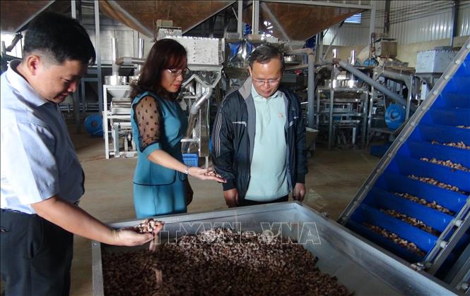 Trong ảnh: Đại biểu tham quan mô hình sản xuất theo công nghệ mới. Ảnh:  K GỬIH-TTXVN