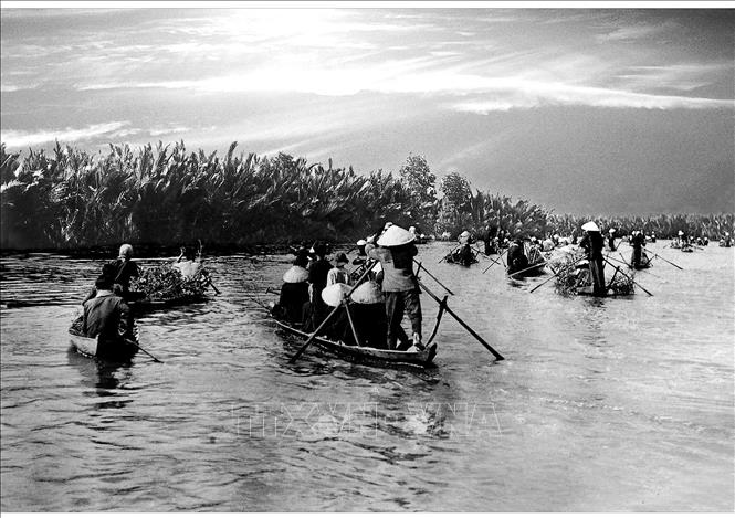 Đội quân tóc dài huyện Cái Nước hành quân ra thị xã Cà Mau đấu tranh chính trị, vạch tội kẻ thù năm 1966 (Ảnh tư liệu). Ảnh: Võ An Khánh – TTXVN.