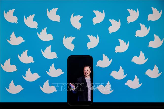 Trong ảnh: Ông chủ Elon Musk và biểu tượng của Twitter. Ảnh: AFP/TTXVN