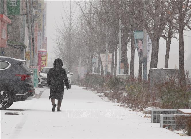 Trong ảnh: Tuyết phủ trắng trên đường ở thành phố Jeonju, phía Nam Seoul, Hàn Quốc, ngày 17/12/2022. Ảnh: YONHAP/TTXVN