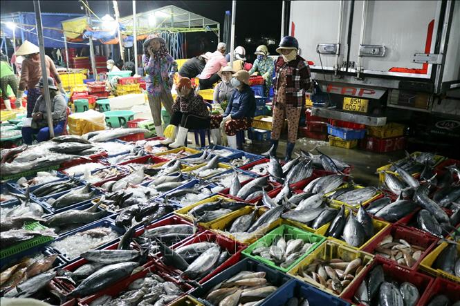 A corner of the Dong Hai fishing port in Phan Rang-Thap Cham city, Ninh Thuan province. VNA Photo: Nguyễn Thành