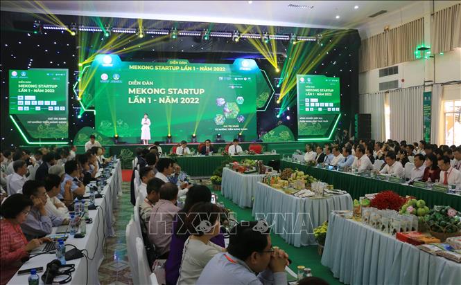 Quang cảnh phiên toàn thể. Ảnh: Nhựt An - TTXVN