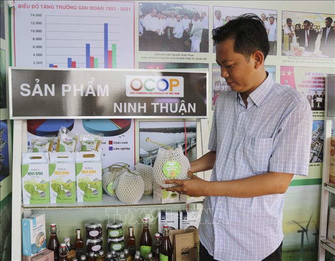 Cucumis melo of the Sun and Wind JSC in Ninh Son district  is ready for 5-star standards. VNA Photo: Nguyễn Thành