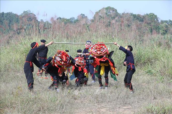 Múa sư tử mèo là loại hình nghệ thuật dân gian, thường được biểu diễn trong các dịp lễ, Tết của người Tày, Nùng ở Hội Hoan. Ảnh: Anh Tuấn – TTXVN