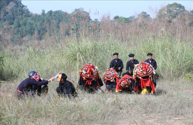 Theo quan niệm của đồng bào Tày, Nùng ở Hội Hoan, sư tử mèo đi đến đâu là mang theo hạnh phúc, no đủ và niềm vui đến đó. Ảnh: Anh Tuấn – TTXVN