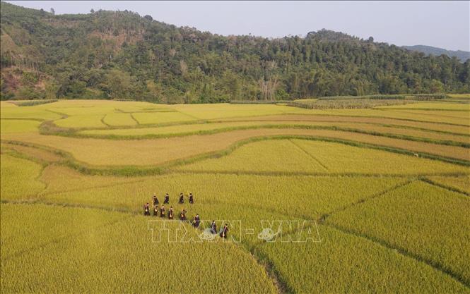 Hát Then loại hình nghệ thuật dân gian thẩm thấu đời sống, văn hoá tín ngưỡng, tâm linh của đồng bào Tày, Nùng xã Hội Hoan. Ảnh: Anh Tuấn – TTXVN