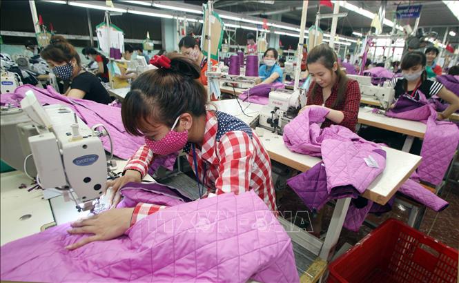 Ngành may mặc có kim ngạch xuất khẩu lớn sang Hoa Kỳ nên cần thực hiện tốt quy định về xuất xứ. Ảnh: Trần Việt - TTXVN