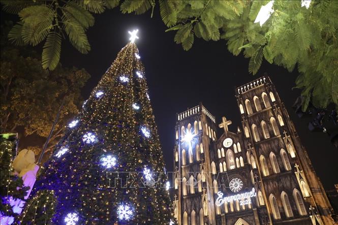 Phía bên ngoài Nhà thờ lớn, cây thông lớn được trang trí, mang đến không khí Noel ấm áp. Ảnh: Minh Quyết - TTXVN