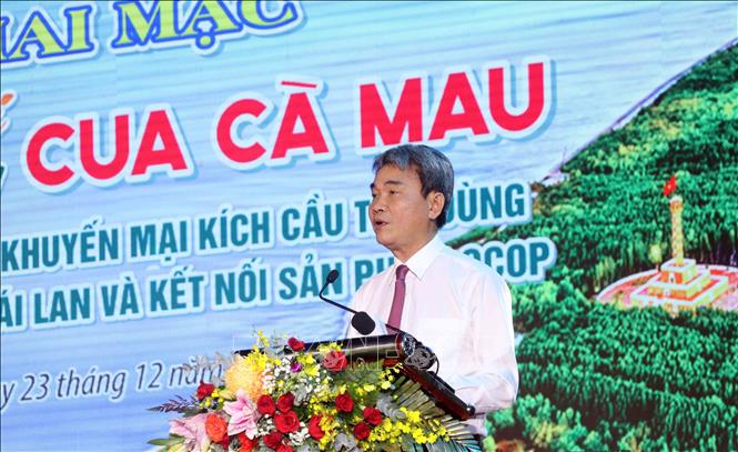 Cục trưởng Cục Sở hữu trí tuệ Đinh Hữu Phí phát biểu tại buổi lễ khai mạc Ngày hội cua Cà Mau - lần thứ I. Ảnh: Huỳnh Anh - TTXVN