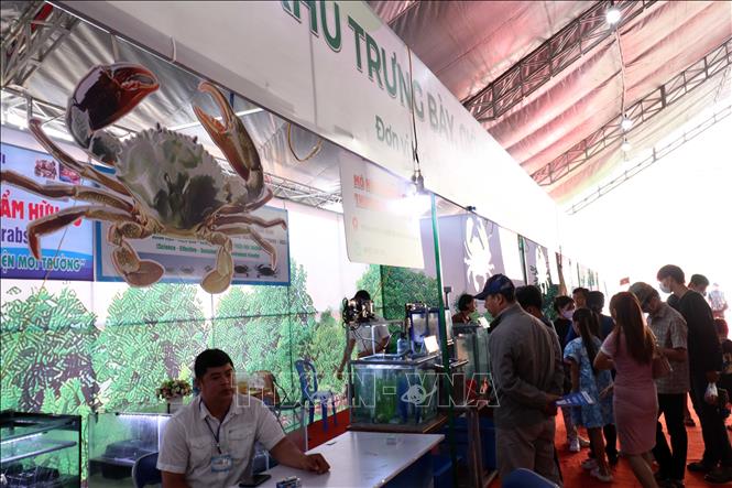 Ngày hội Cua Cà Mau thu hút đông người dân và du khách đến tham quan, mua sắm. Ảnh: Kim Há-TTXVN