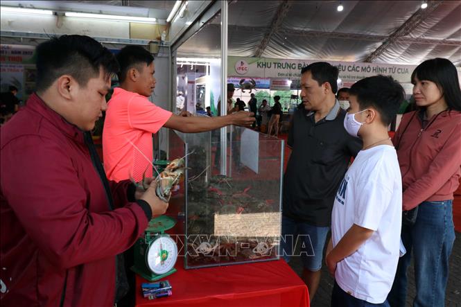 Đông đảo người dân và khách du lịch đến tham quan, mua sắm sản phẩm OCOP. Ảnh: Kim Há-TTXVN