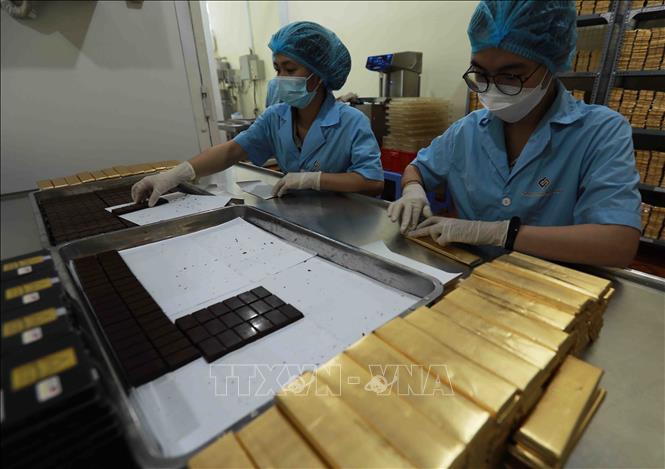Chocolate produced by Nam Truong Son cocoa Co. Ltd is recognised as a 4-star OCOP product. VNA Photo: Vũ Sinh 