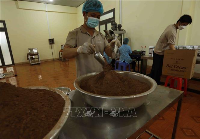 Nam Truong Son cocoa Co. Ltd produces 70 tonnes of products for domestic and Japanese markets. VNA Photo: Vũ Sinh 