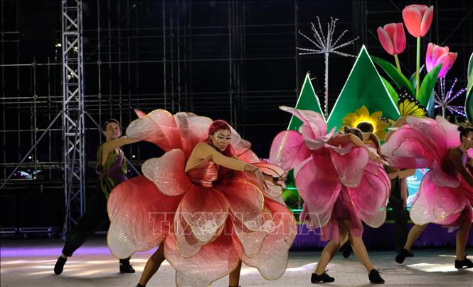 A performance at the street carnival. VNA Photo: Nguyễn Dũng