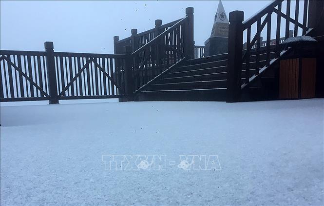 The snow rain lasted about three hours from 5am. Currently, snow is still falling heavily on the top of the 3,143-m mount. VNA Photo: Quốc Khánh