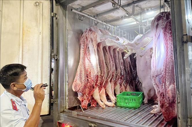 Trong ảnh: Cán bộ Ban Quản lý an toàn thực phẩm Thành phố Hồ Chí Minh kiểm tra thịt lợn nhập về chợ đầu mối nông sản thực phẩm Hóc Môn. Ảnh: TTXVN phát