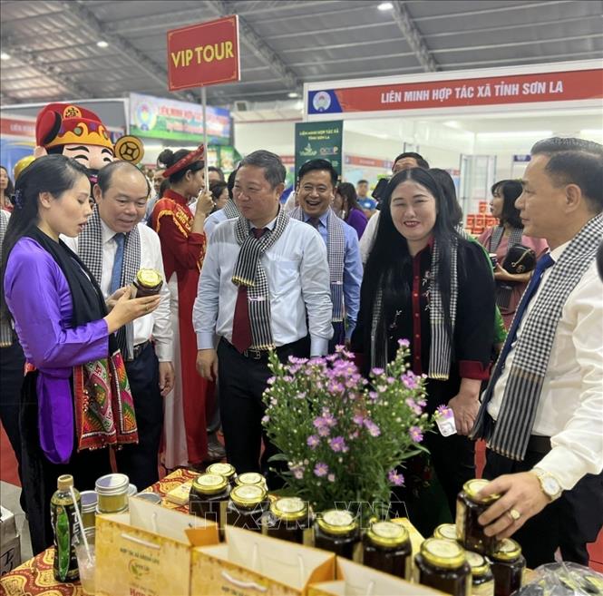 Trong ảnh: Thương hiệu 