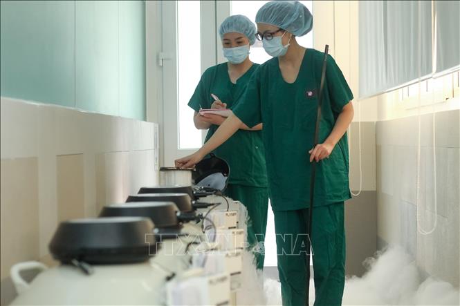 Modern facilities of the IVF Department of the Phuong Chau hospital. VNA Photo: Ánh Tuyết