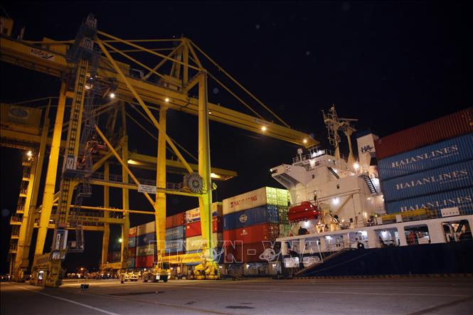 First tonne of cargo to Tien Sa port, which was handled from 12.649 DWT Haian Park of Vietnam and Panama’s 33.577 DWT Ever Optima vessel. VNA Photo: Trần Lê Lâm