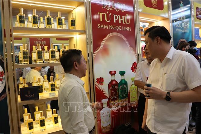 Sâm Ngọc Linh được chiết xuất thành nước uống bổ dưỡng đóng lon đưa lên kệ phục vụ người dân. Ảnh: Chí Tưởng -TTXVN
