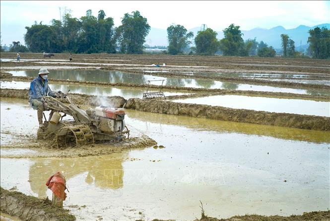 Trong ảnh: Máy móc được sử dụng để tiết kiệm thời gian và công sức cho người dân. Ảnh: Xuân Tư – TTXVN