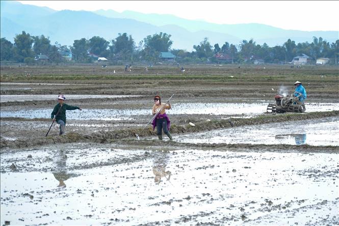 Trong ảnh: Người dân xã Thanh Hưng (huyện Điện Biên) cày ải, làm đất chuẩn bị gieo cấy lúa. Ảnh: Xuân Tư – TTXVN