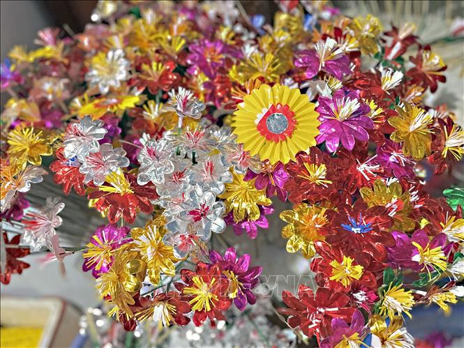 Trong ảnh: Các sắc hoa giấy Thanh Tiên tươi mới, báo hiệu một mùa xuân sung túc, ấm no đang đến. Ảnh: Mai Trang - TTXVN 