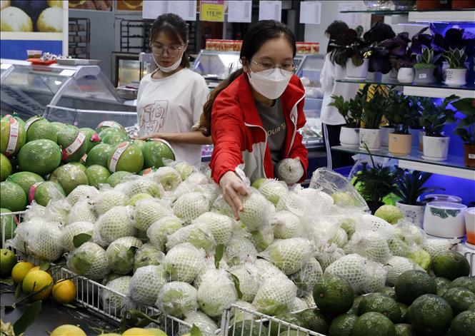 Trong ảnh: Sản phẩm rau củ quả bày bán tại Co.opmart Hà Đông, Hà Nội. Ảnh: Trần Việt - TTXVN