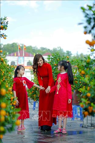 Trong ảnh: Các điểm bán hoa, cây cảnh cũng thu hút nhiều người dân đến tham quan, chụp ảnh. Ảnh: Xuân Tư – TTXVN